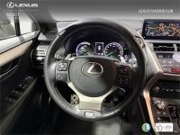 LEXUS Nx F SPORT PANORAMICO
