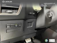 LEXUS Nx F SPORT PANORAMICO