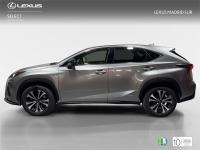 LEXUS Nx F SPORT PANORAMICO