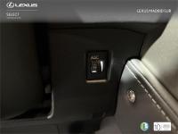 LEXUS Nx F SPORT PANORAMICO