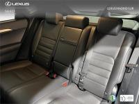 LEXUS Nx F SPORT PANORAMICO