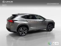 LEXUS Nx F SPORT PANORAMICO