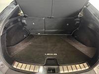 LEXUS Rz 300e e-Executive