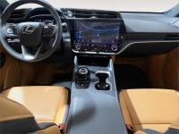 LEXUS Rz 300e e-Executive