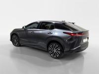 LEXUS Rz 300e e-Executive