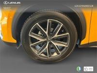 LEXUS Lbx Emotion+