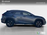 LEXUS Nx 300h Premium 2WD