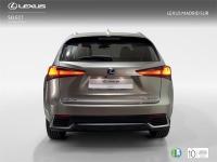 LEXUS Nx 300h Executive 4WD