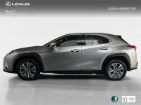 LEXUS Ux 300h UX+
