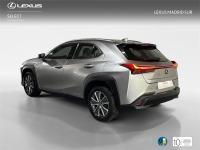 LEXUS Ux 300h UX+