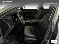LEXUS Nx 350h Executive+ 2WD
