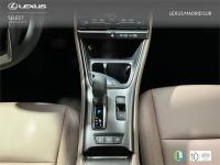 LEXUS Lbx Elegant+
