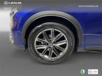 LEXUS Lbx Elegant+