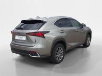 LEXUS Nx 300h Business Navigation 2WD