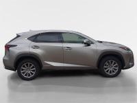 LEXUS Nx 300h Business Navigation 2WD