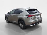 LEXUS Nx 300h Business Navigation 2WD
