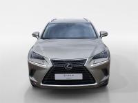 LEXUS Nx 300h Business Navigation 2WD