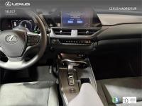 LEXUS Ux 300h UX+