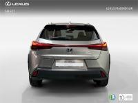 LEXUS Ux 300h UX+