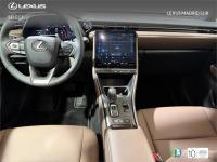 LEXUS Lbx Elegant
